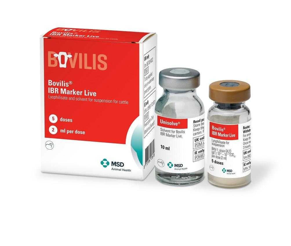 Bovilis IBR Marker Live Lyophilisate and Solvent for Suspension for Cattle