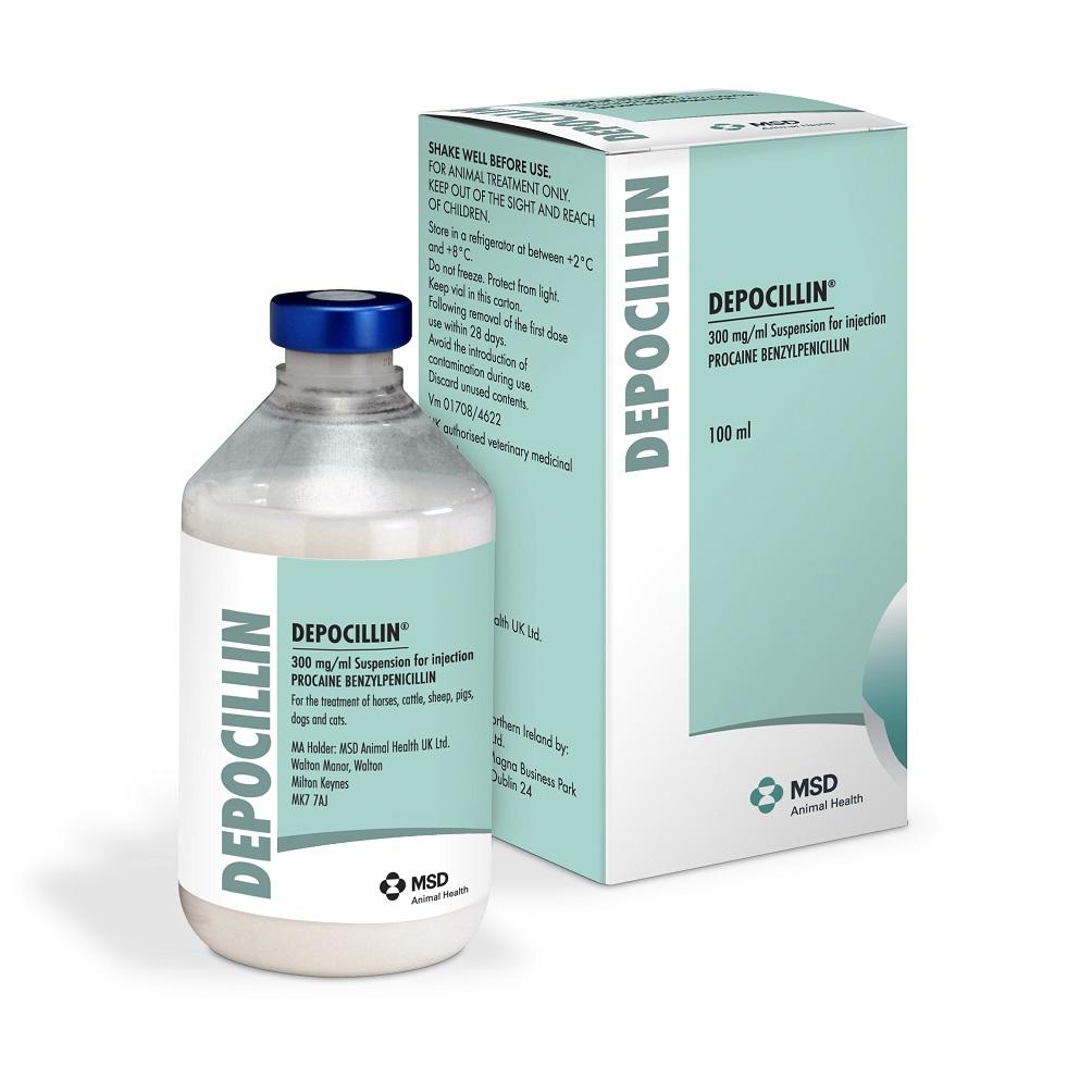 Depocillin 300 mg/ml Suspension for Injection