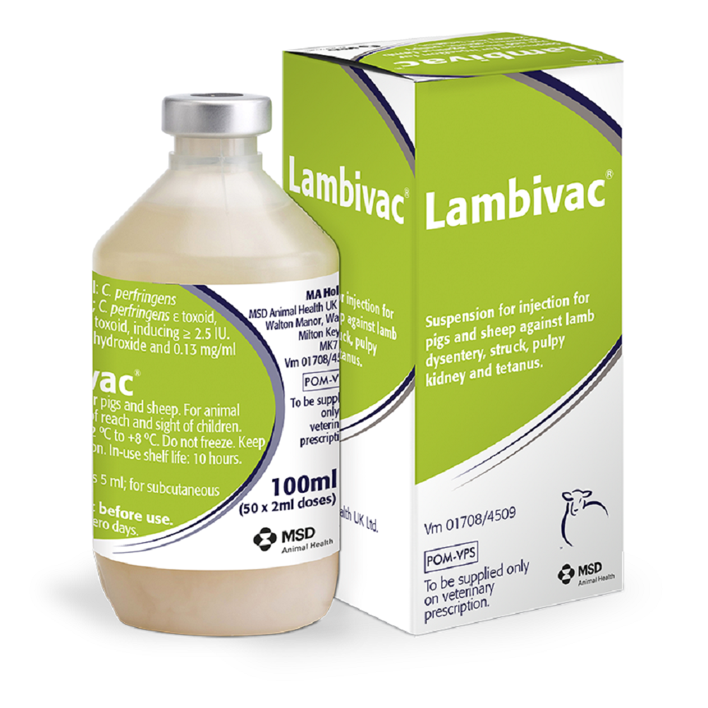 Lambivac