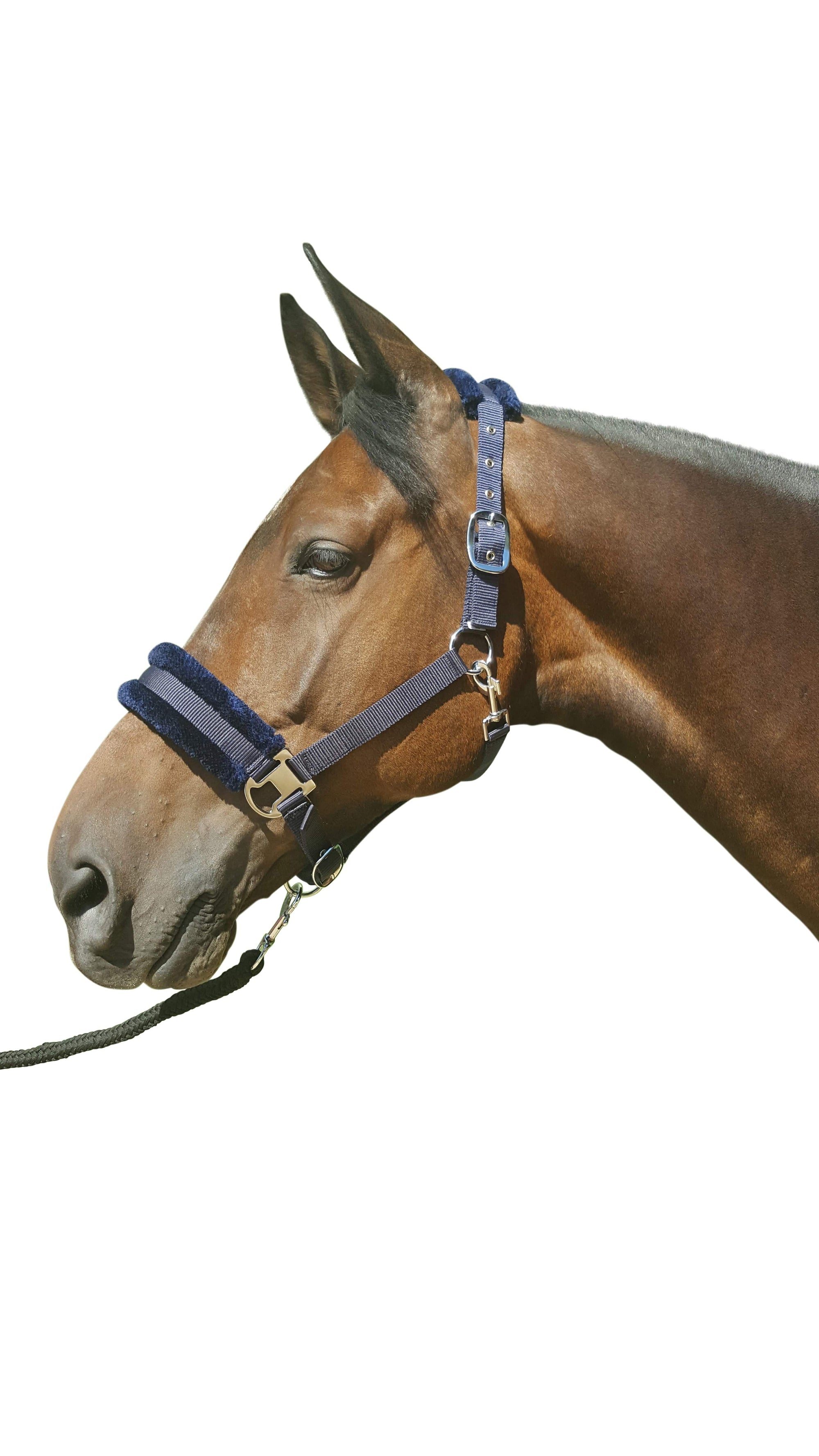 Hy Equestrian Faux Fur Padded Head Collar With Lead Rope