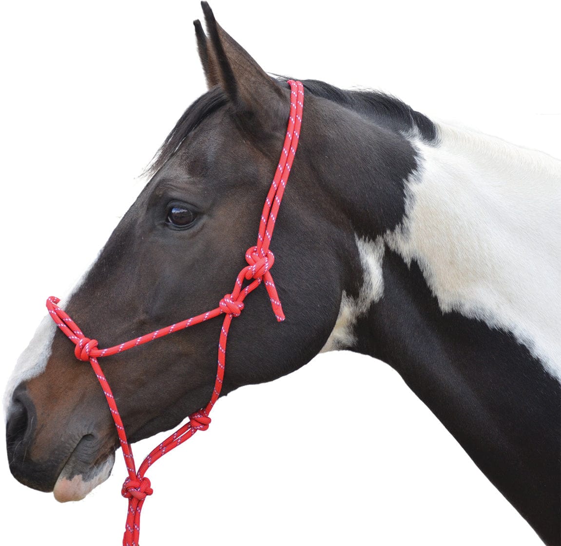 Hy equestrian rope halter