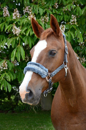 Hy equestrian dazzle head collar