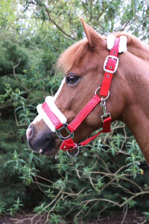 Hy equestrian christmas santa head collar