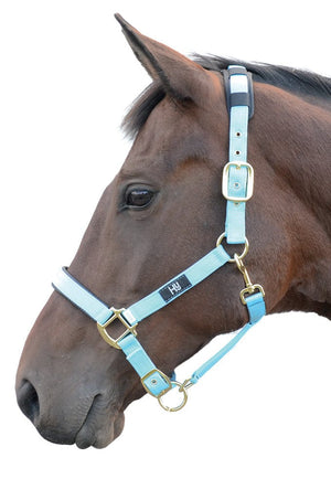 Hy equestrian deluxe padded head collar