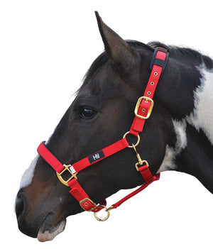 Hy equestrian deluxe padded head collar