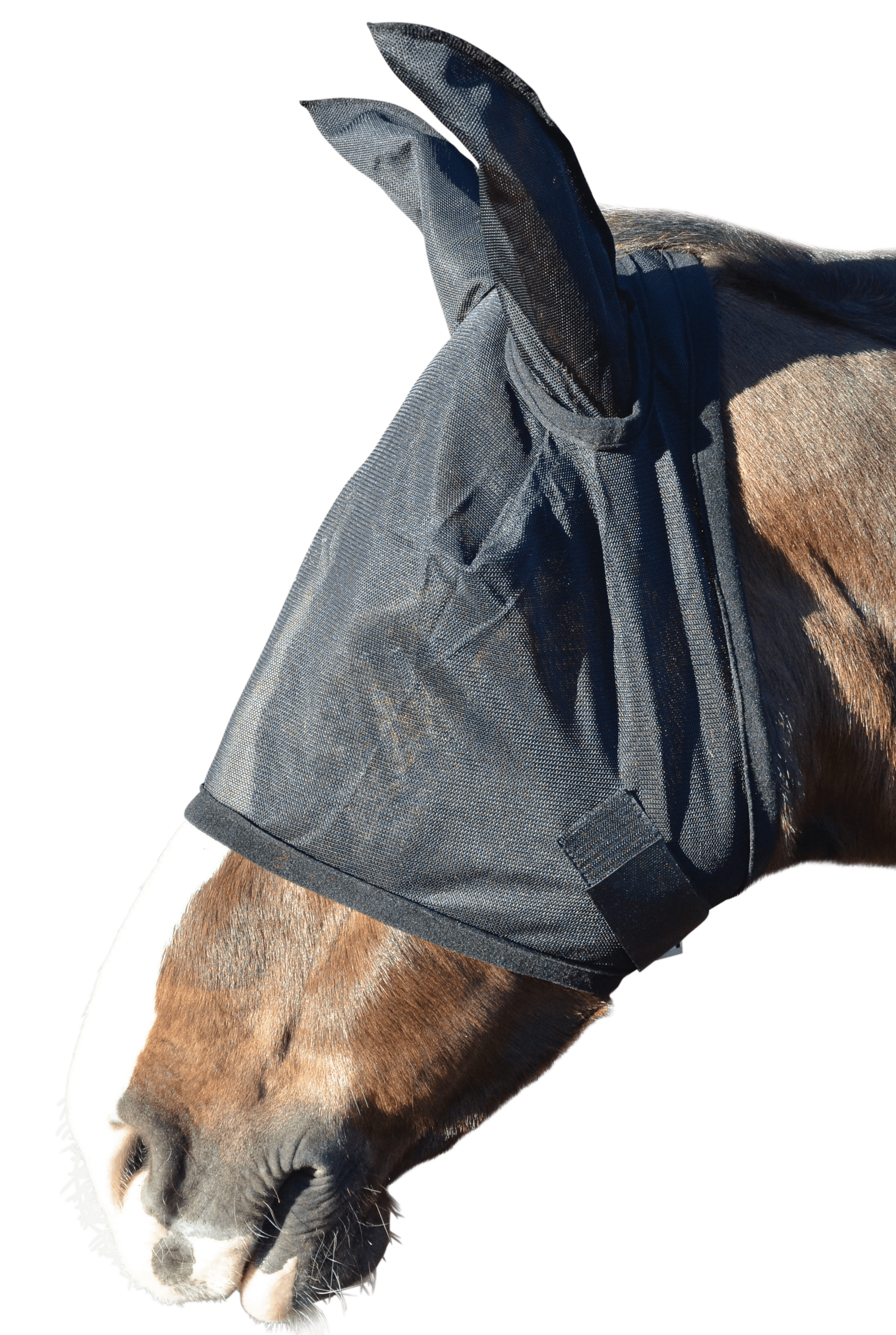 Hy equestrian fly mask with ears