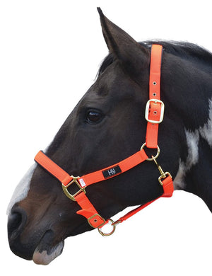 Hy equestrian grand prix head collar