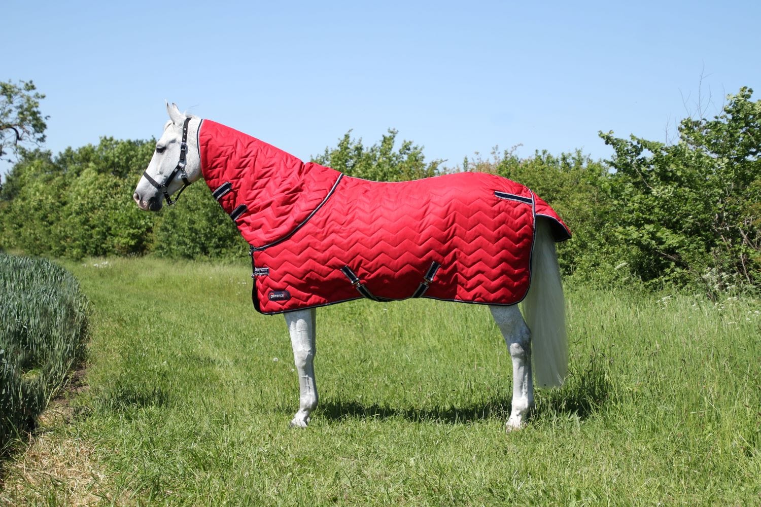 Defencex system 200 stable rug with detachable neck cover