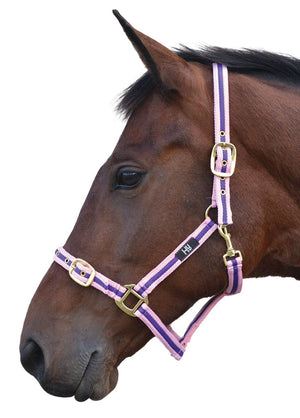 Hy Equestrian Soft Webbing Head Collar
