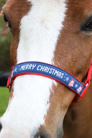 Christmas head collar & lead rope by little rider