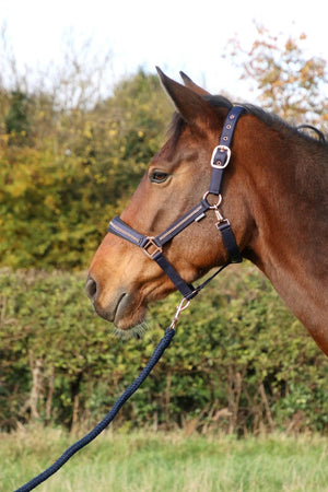 Hy equestrian sparkling head collar & lead rope set