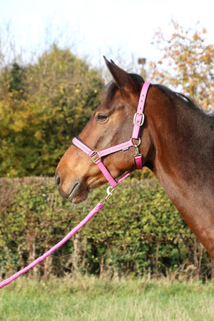Hy equestrian sparkling head collar & lead rope set