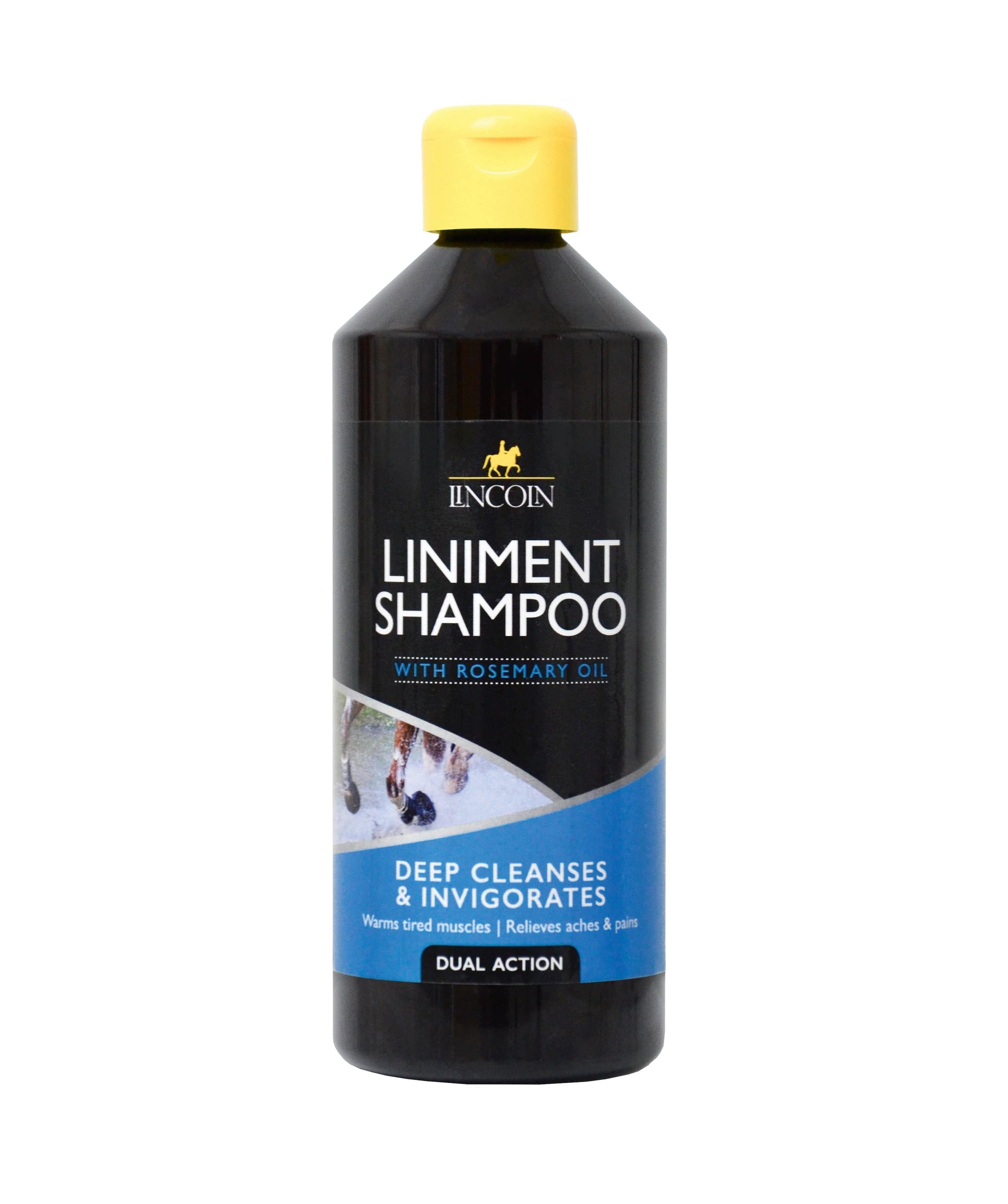 Lincoln liniment shampoo