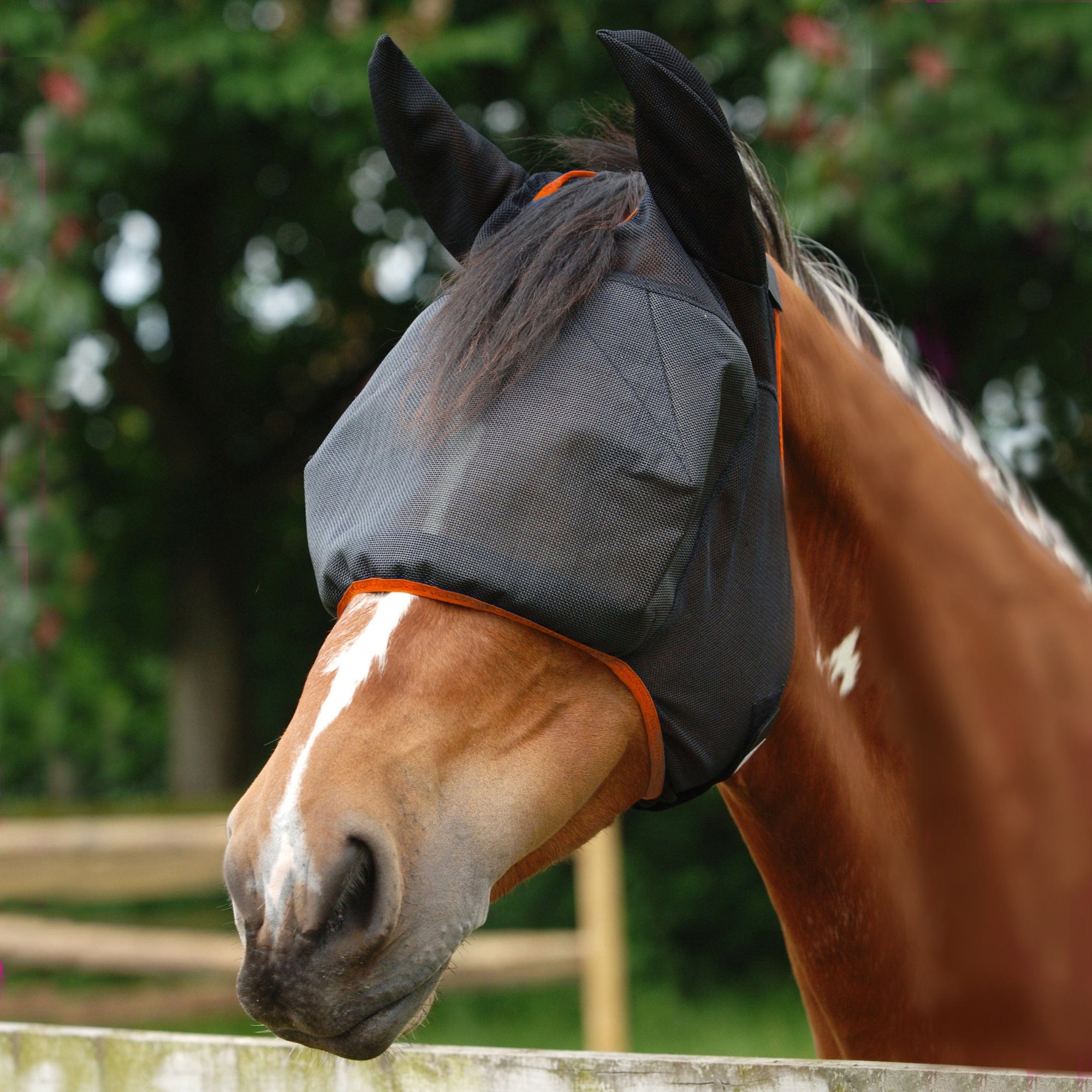 Field relief midi fly mask (with ears)