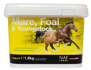 Naf mare foal & youngstock
