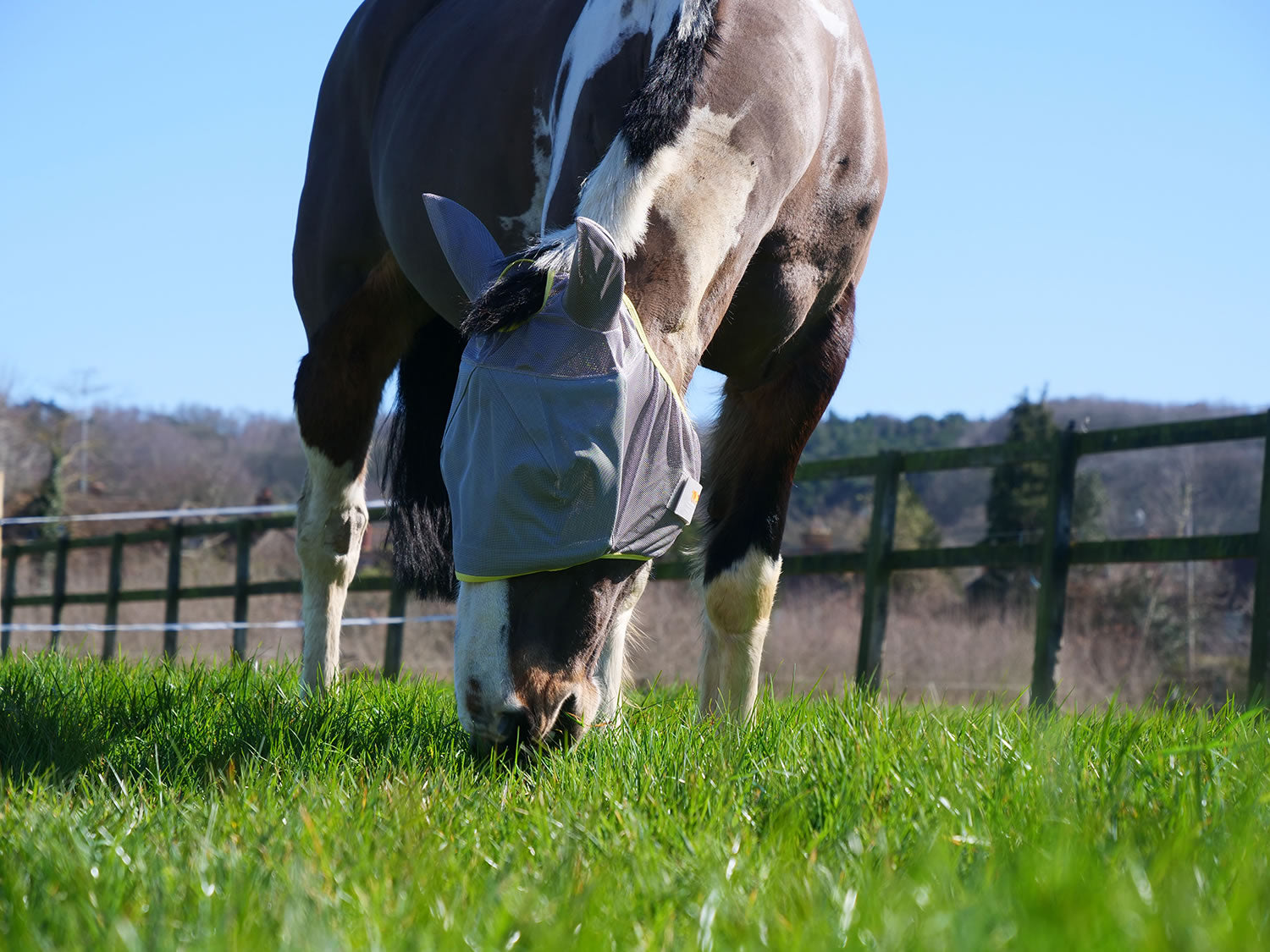 Equilibrium Field Relief Midi Fly Mask & Ears Grey/Yellow