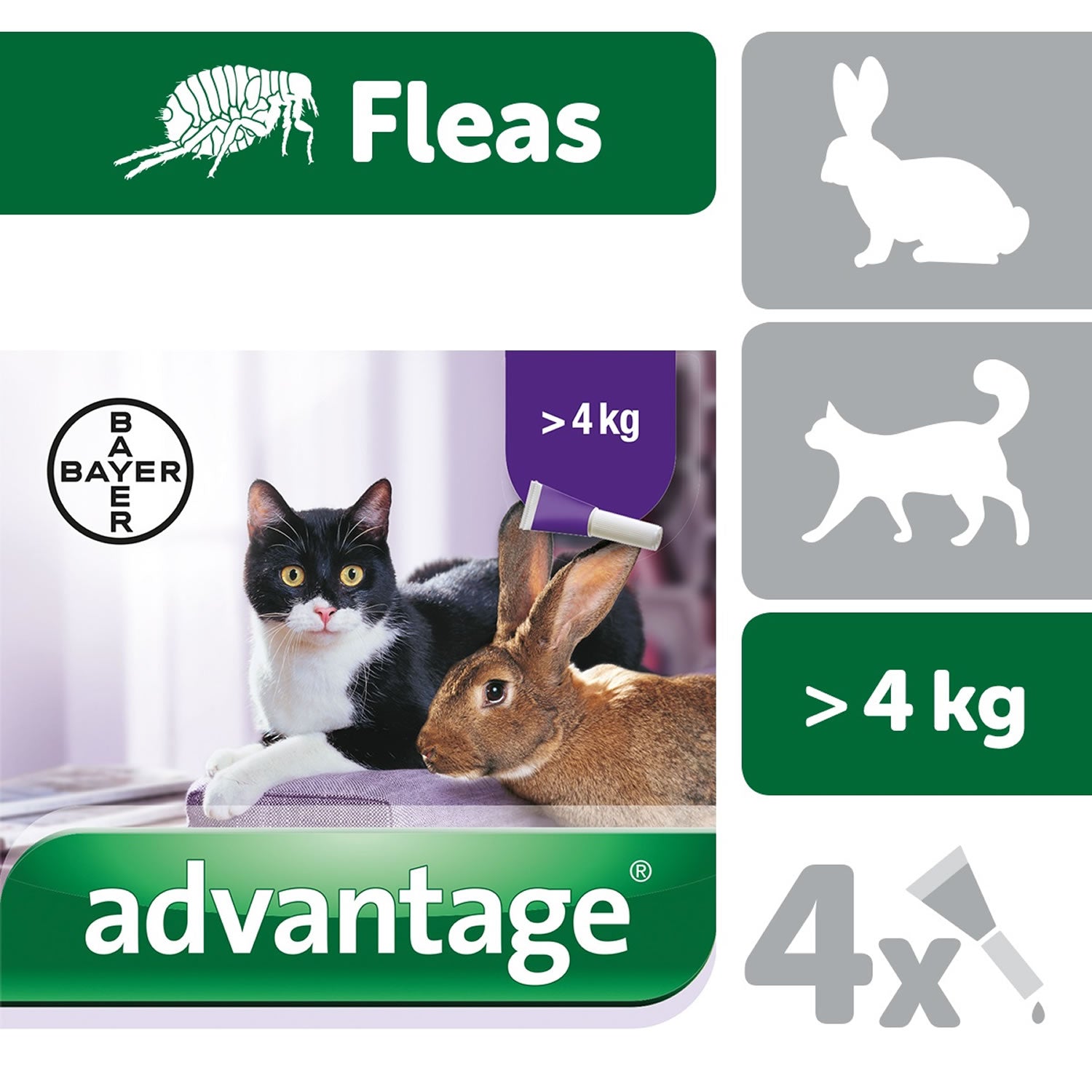 Advantage 80 Spot-On For Large Cats/Rabbits