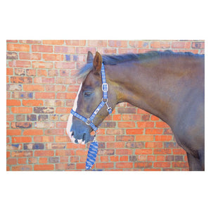 Hy Equestrian Tartan Head Collar With Lead Rope