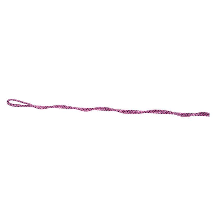 Hy equestrian metallic lunging whip