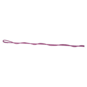 Hy equestrian metallic lunging whip