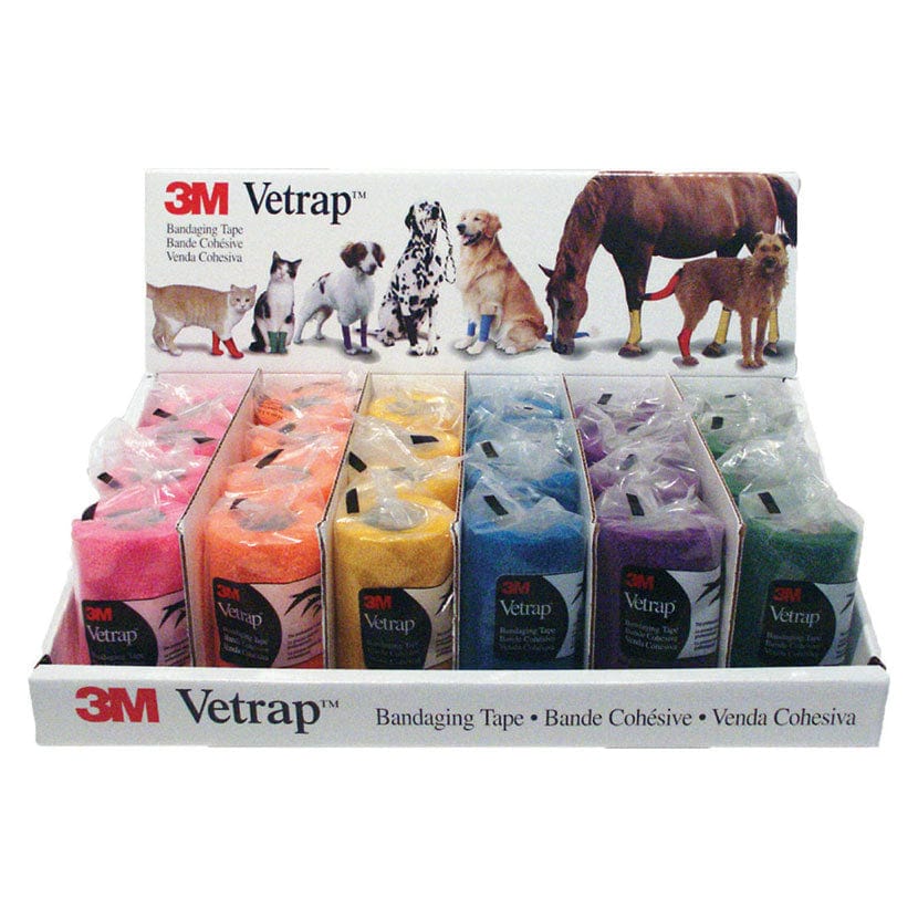3m vetrap™ bright display pack