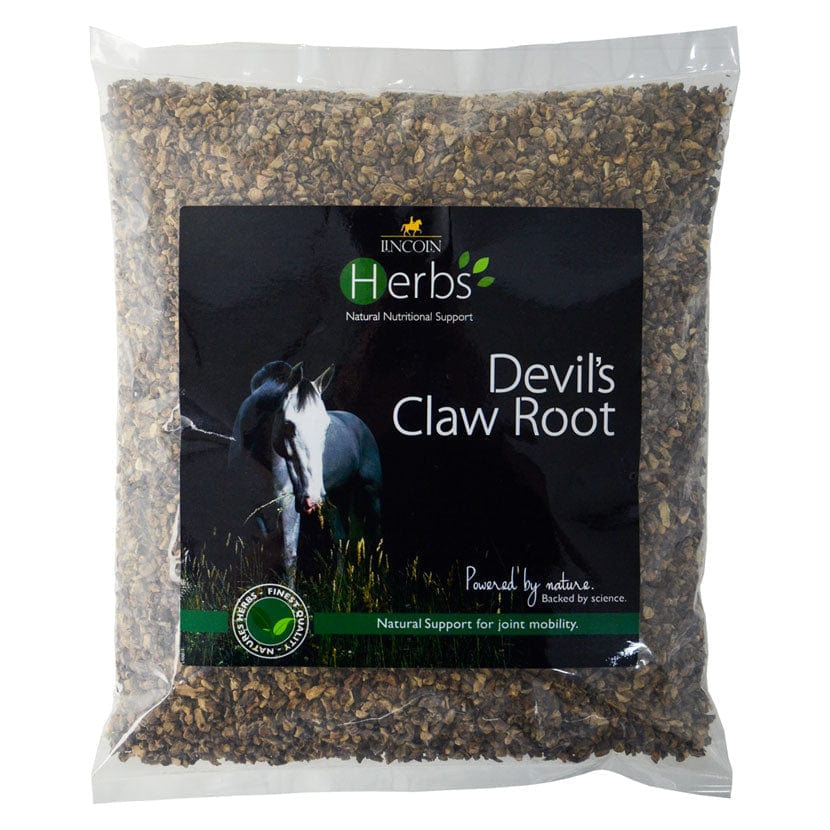Lincoln herbs devil’s claw root