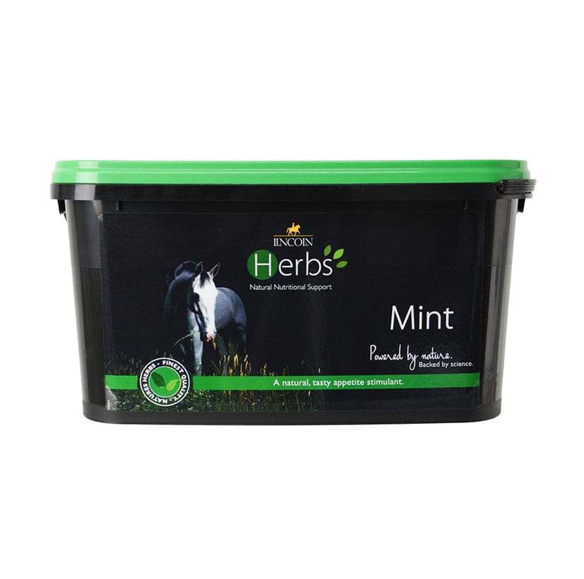 Lincoln herbs mint