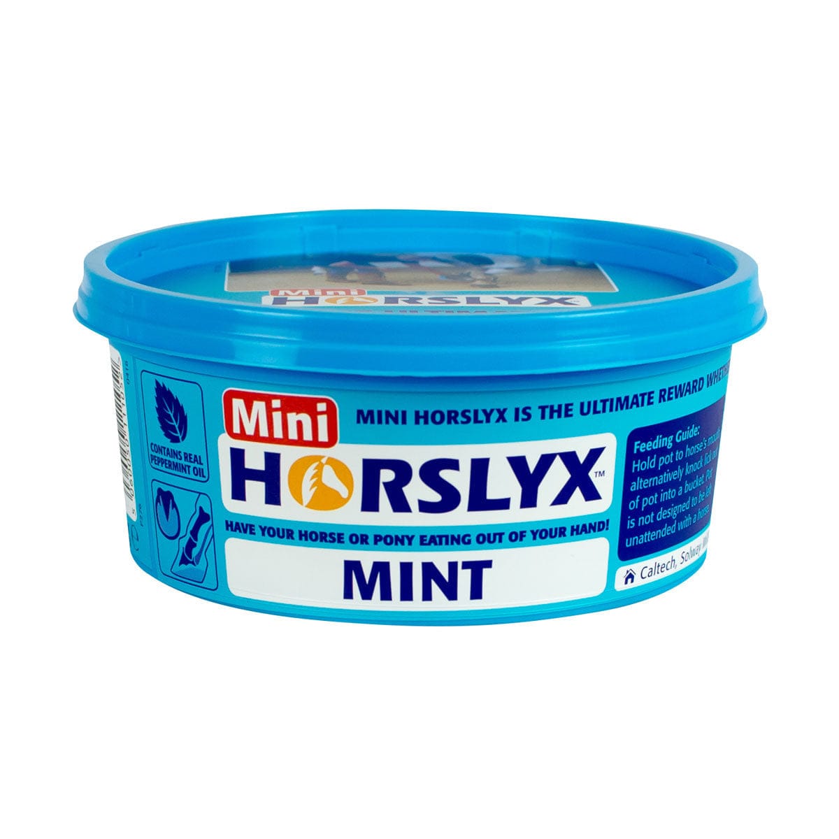 Horslyx mint