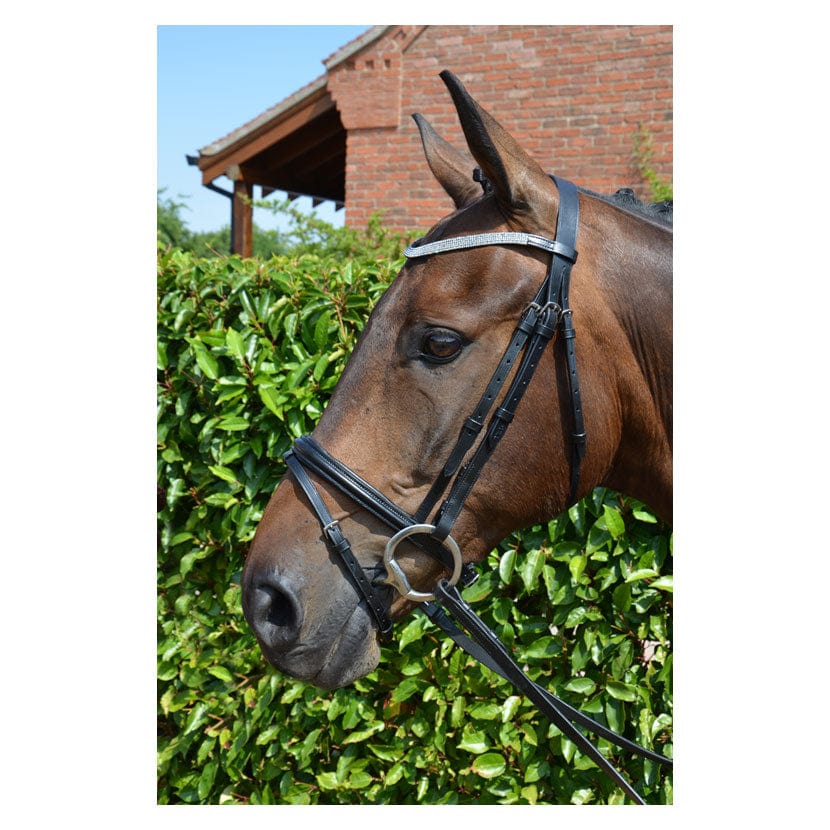 Hy equestrian diamond flash bridle with rubber reins