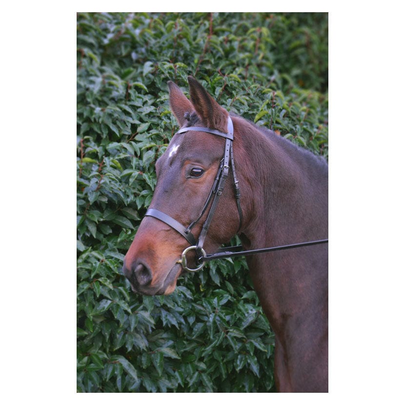 Hy equestrian hunter bridle with rubber grip reins