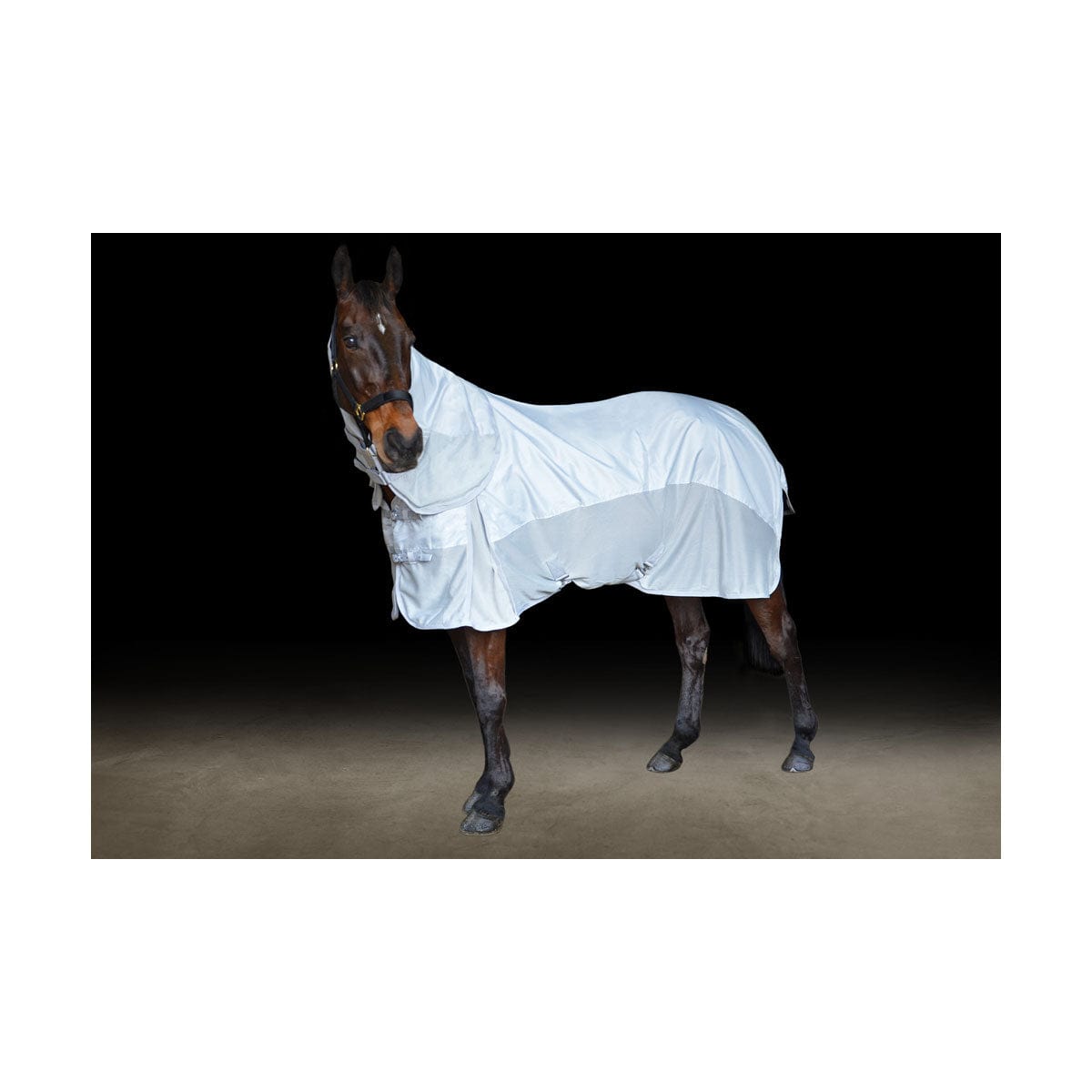 Defencex system airflow detachable fly rug