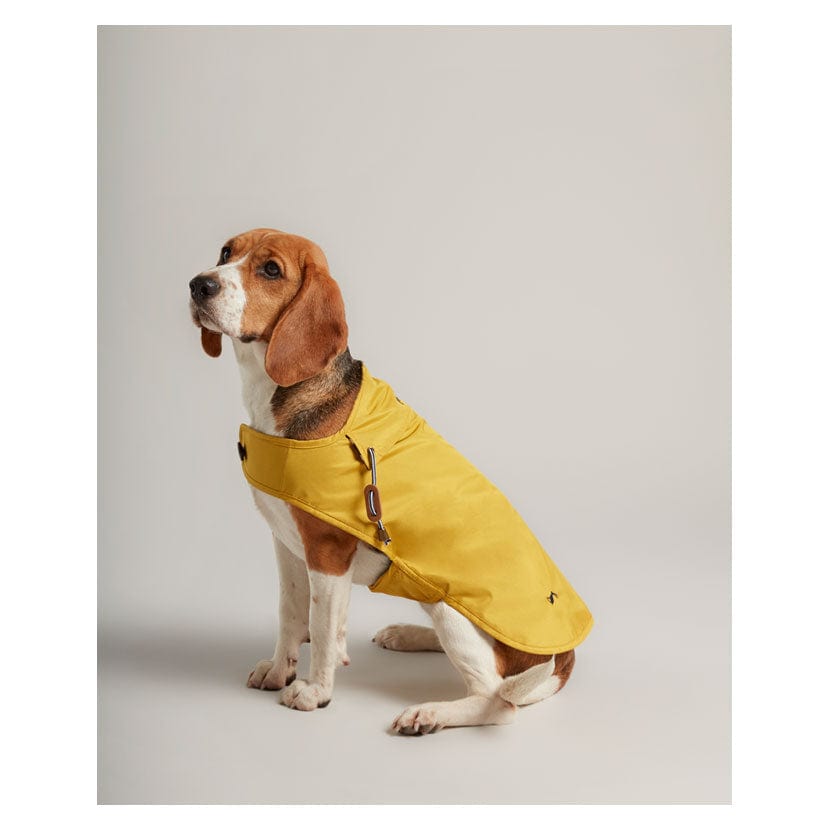 Joules water resistant dog coat
