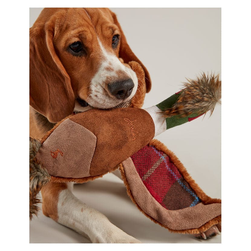 Joules pheasant dog toy