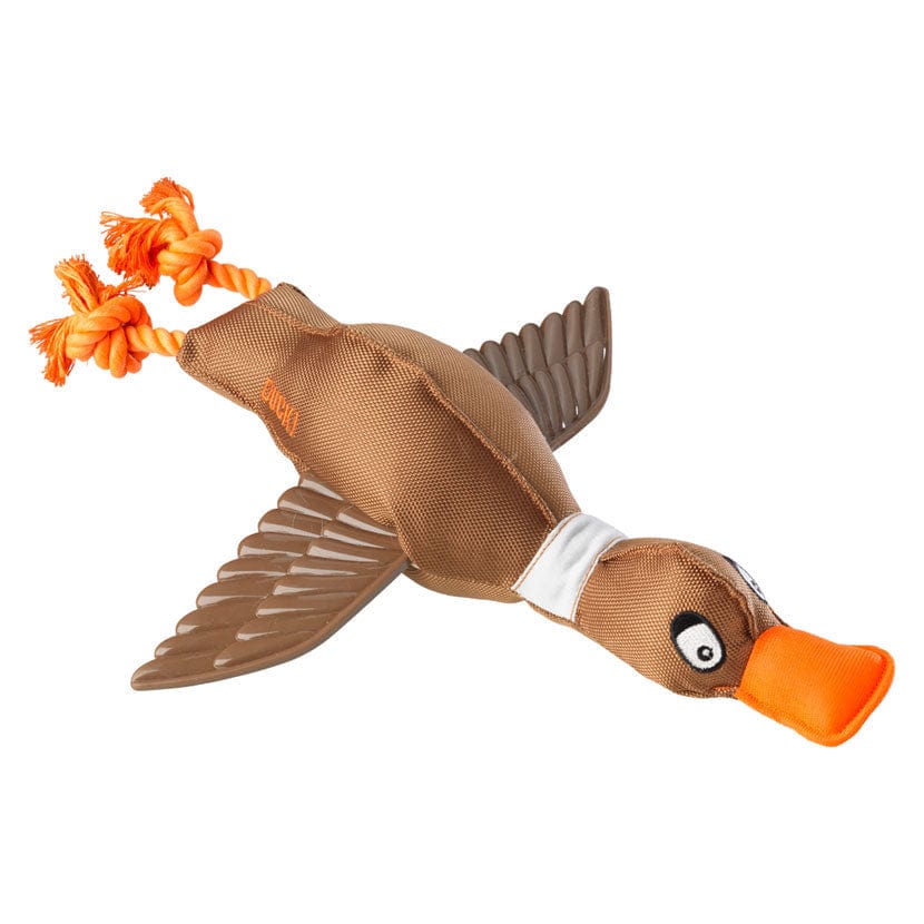 House of paws duck thrower with wings