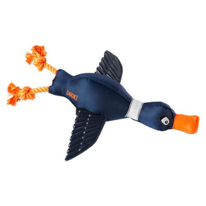 House of paws duck thrower with wings