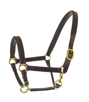 Hy equestrian leather head collar