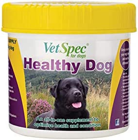 Vetspec Healthy Dog