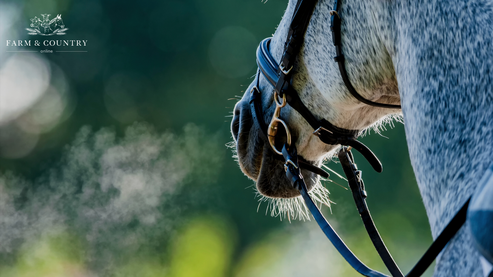 Optimising Respiratory Health in the Stabled Horse