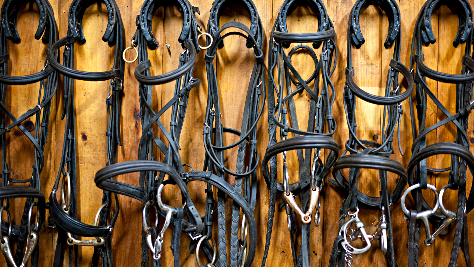 The Ultimate Guide to Bridles