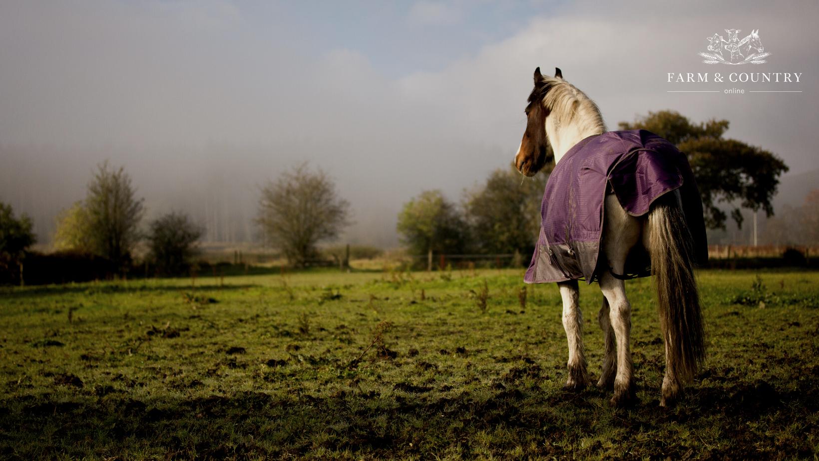 Winter Mud Fever Management