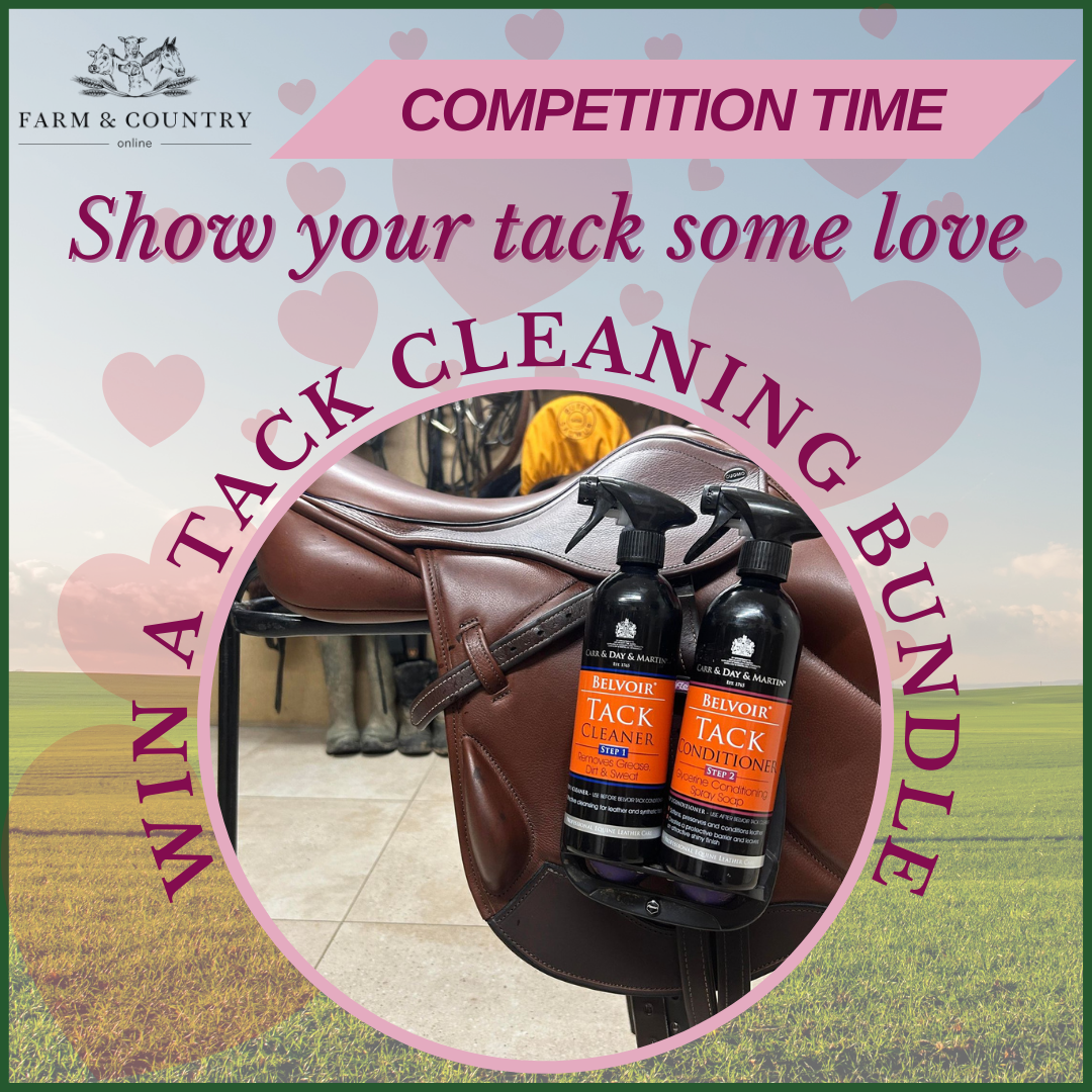 Show Your Tack Some Love This Valentine's Day