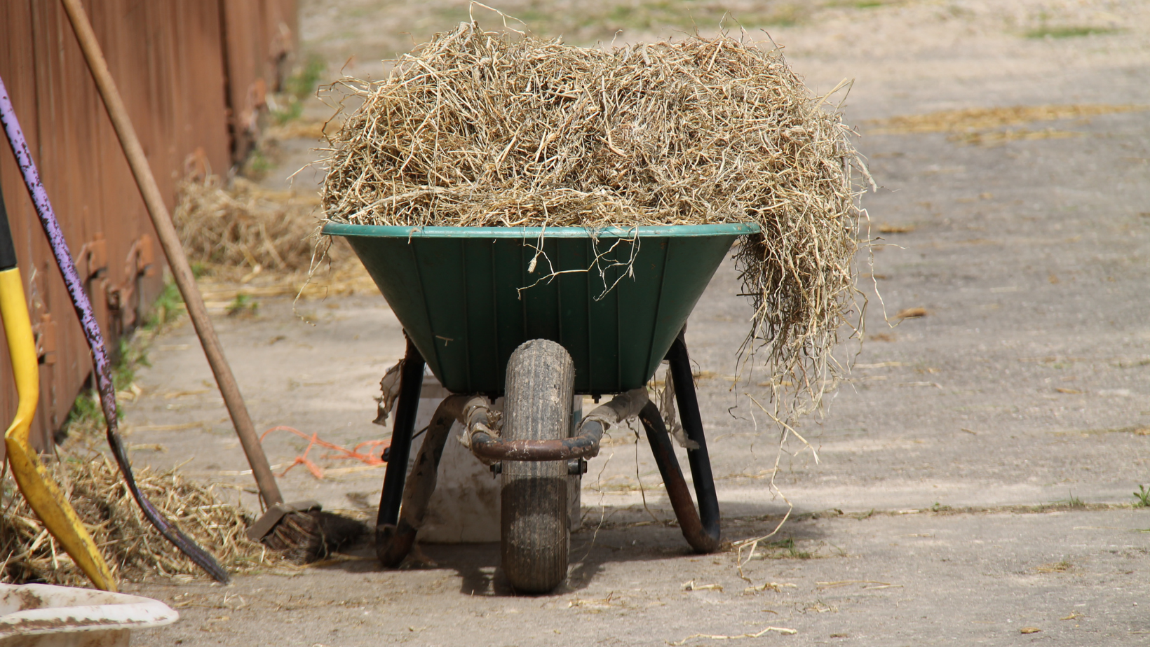 5 Top Tips For Your Yard Spring Clean