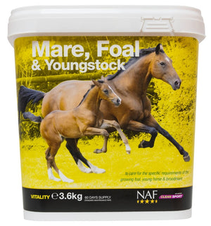 Naf mare foal & youngstock