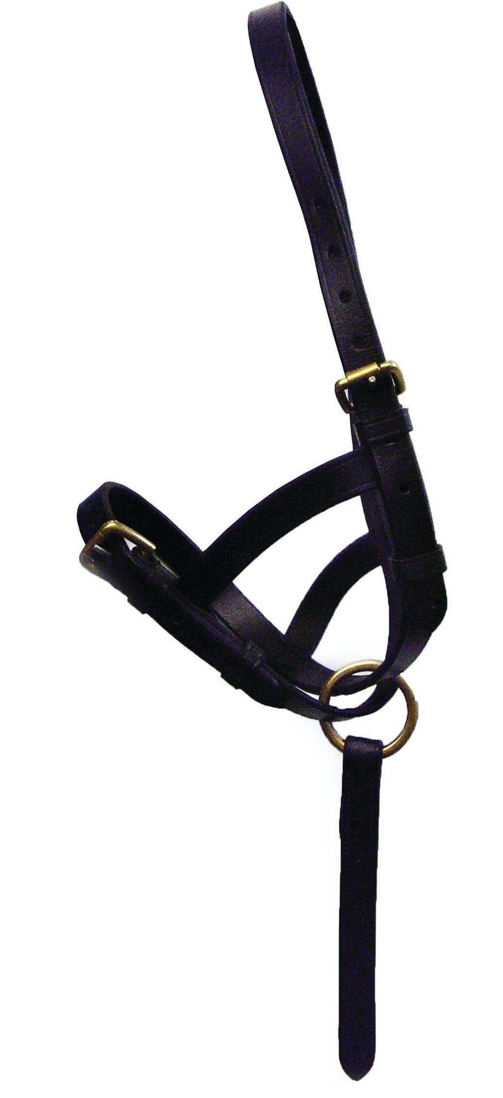 Hy Equestrian Leather Foal Slip