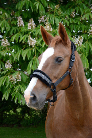 Hy equestrian dazzle head collar