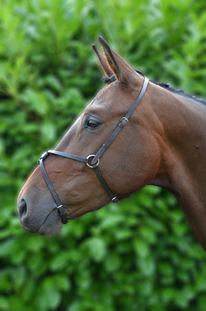 Hy equestrian mexican grackle nose band