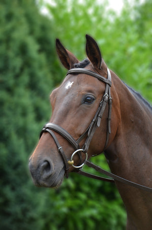 Hy equestrian padded flash bridle with rubber grip reins