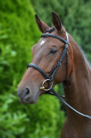 Hy equestrian padded cavesson bridle with rubber grip reins