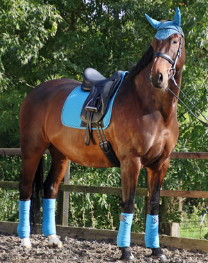 Hy sport active dressage saddle pad