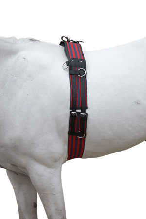 Hy equestrian training roller